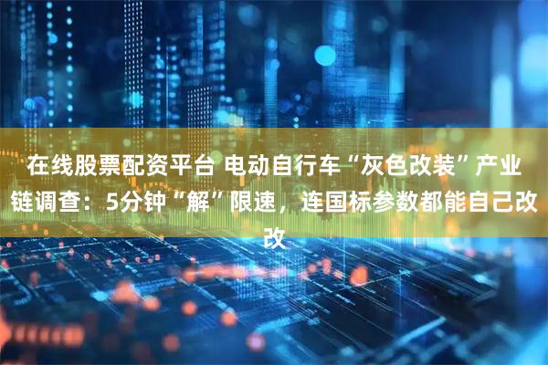在线股票配资平台 电动自行车“灰色改装”产业链调查：5分钟“解”限速，连国标参数都能自己改